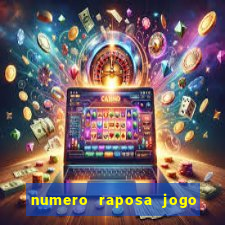 numero raposa jogo do bicho